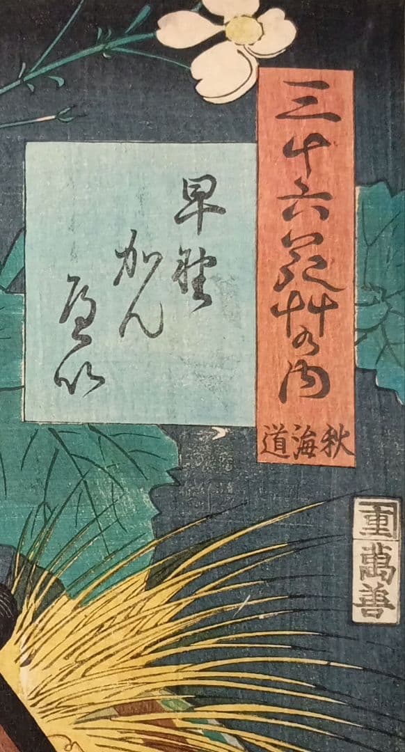 浮世絵版画、三十六花艸の内（秋海道) 豊原国周画、慶応2年（1866)出版