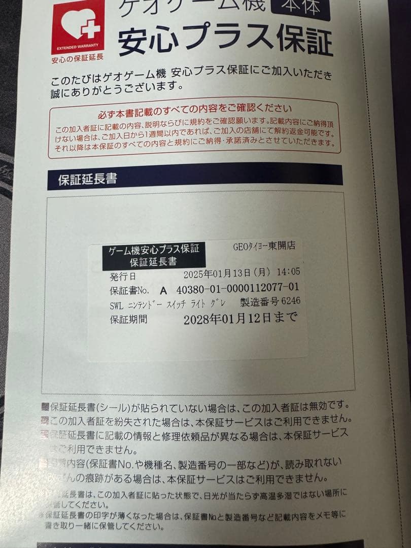 Nintendo Switch Lite ライトグレー