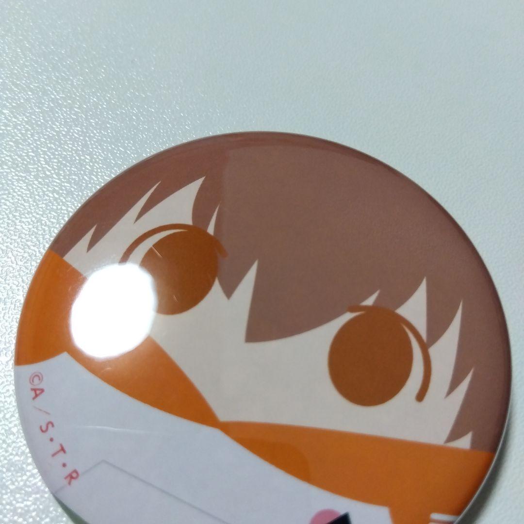 【REBORN!】沢田綱吉 ツナ たまっぷ 缶バッジコレクション リボーン