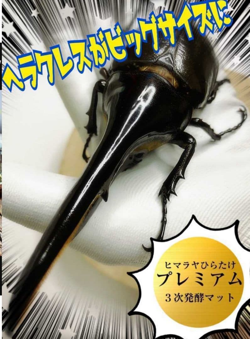 ヘラクレスに抜群！プレミアム3次発酵カブトムシマット【たっぷり60リットル】