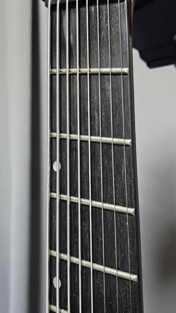 Inyen Vina 8弦ギター　ファンフレット