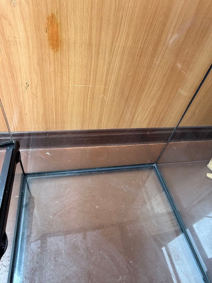 【引き取り限定】エキゾテラ グラステラリウム9060 標準小売価格49,400円