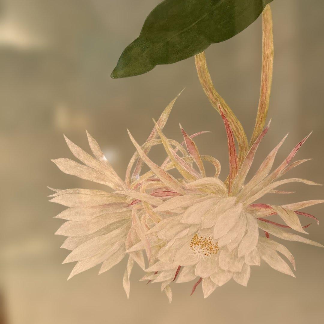 絵画　月下美人　　⚠️素人画