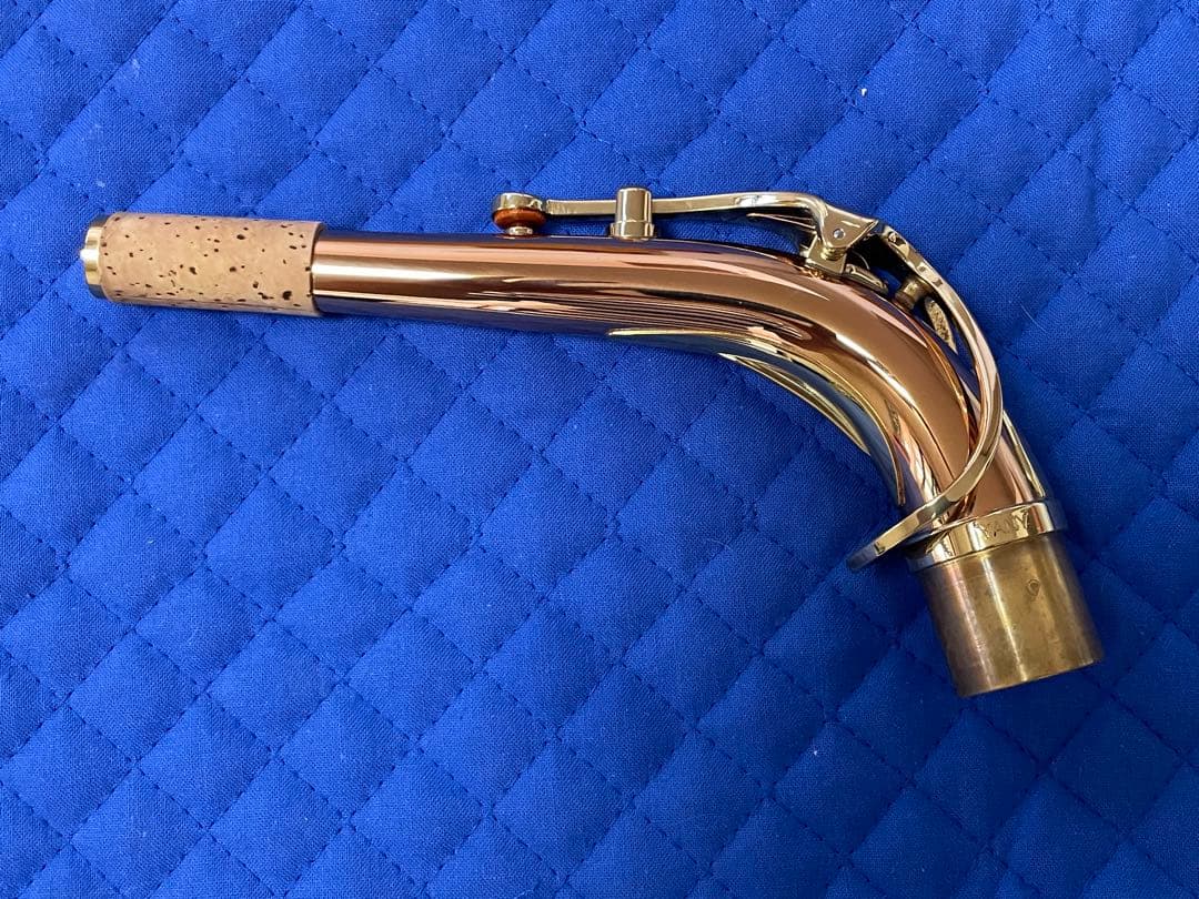 ヤナギサワ　アルトサックスA-WO2 2024年購入品