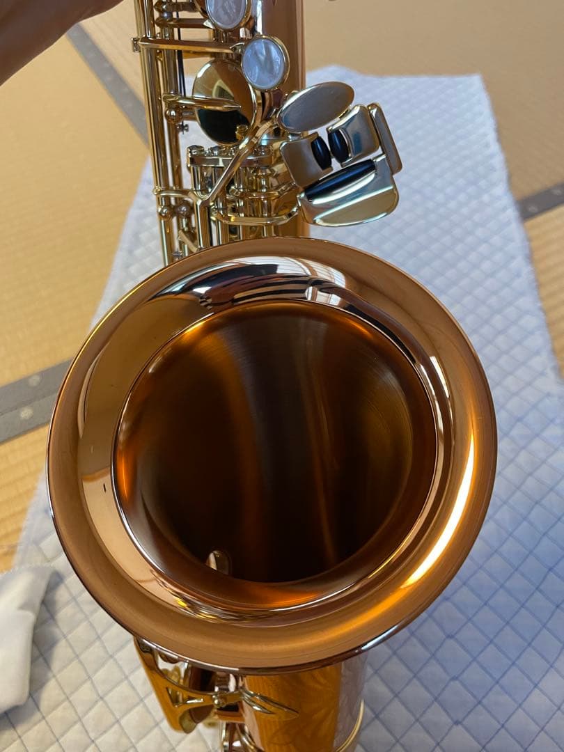 ヤナギサワ　アルトサックスA-WO2 2024年購入品