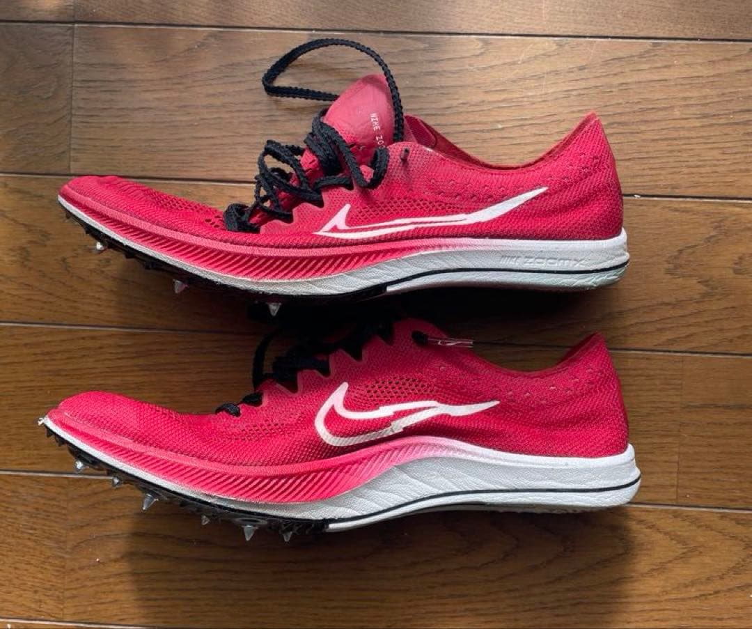 ドラゴンフライ　25cm