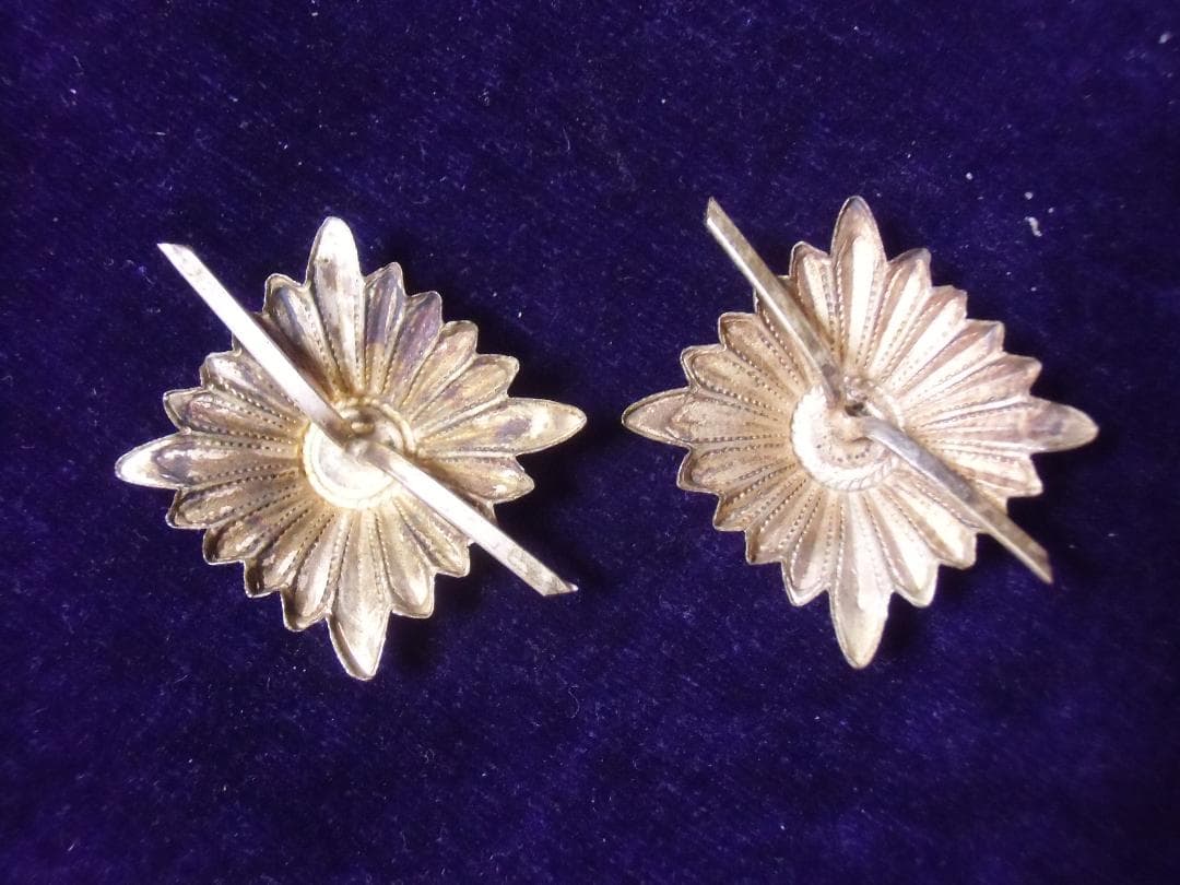 ⊞ドイツ軍＊２３ｍｍピプ（中将～大将）＊ペア（実物）