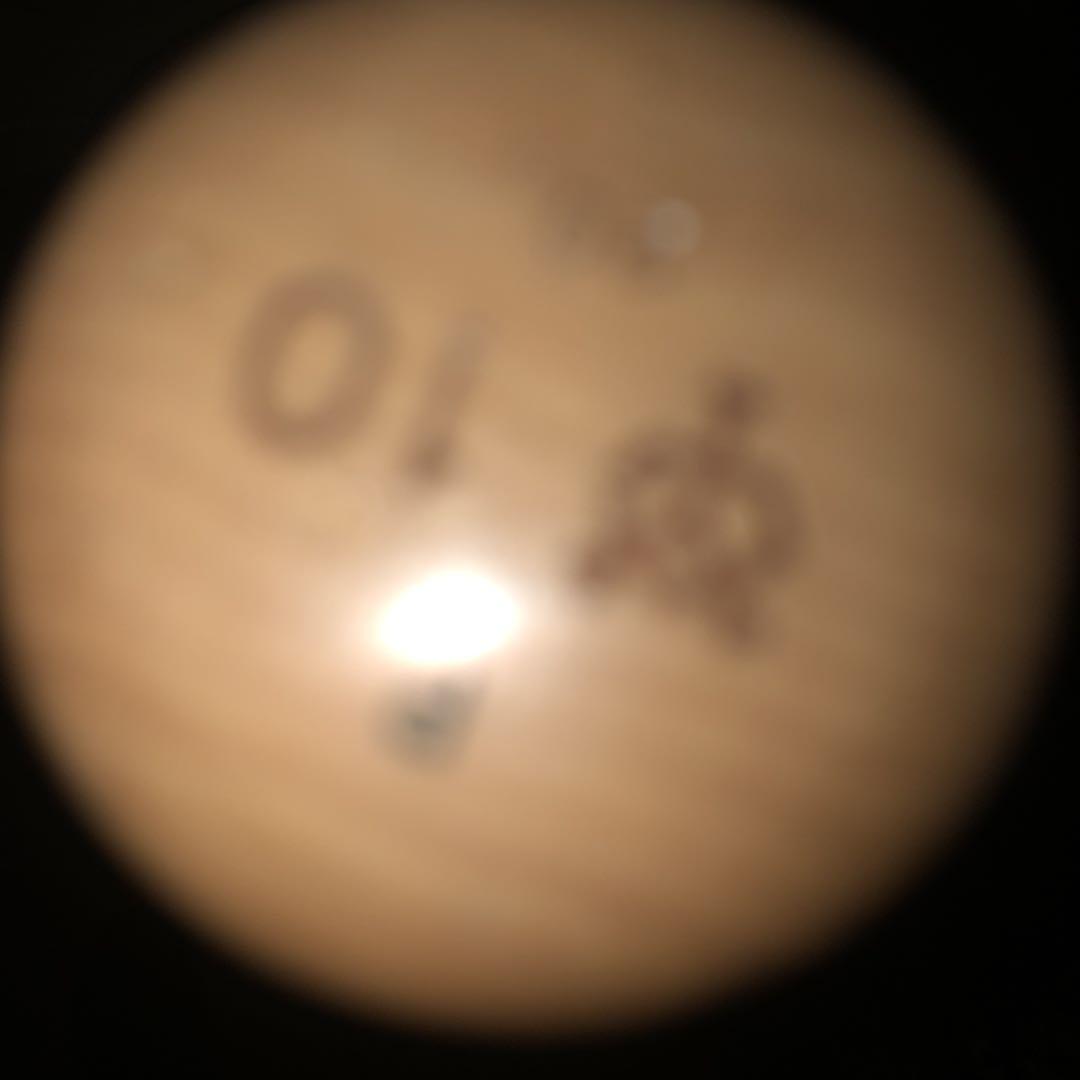 【超レア】ジャビット人形、阿部慎之助ゲームユーズドバット【お値打ち価格】