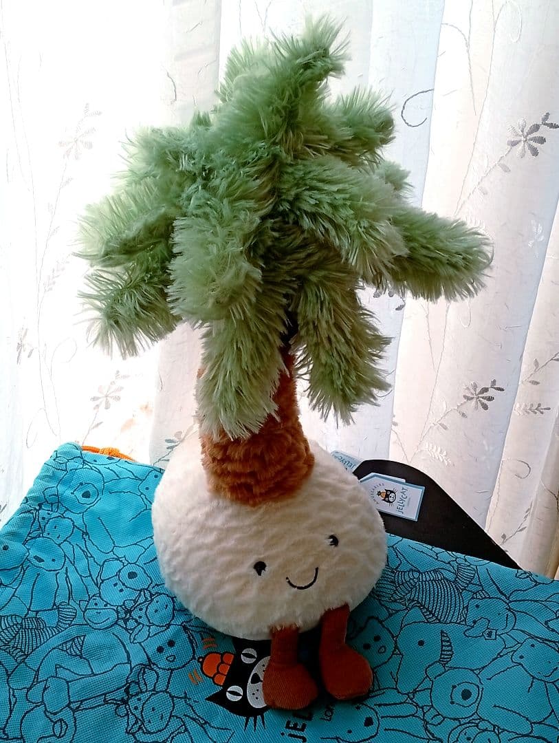  Pammie Palm Treeジェリーキャット植物　ヤシの木