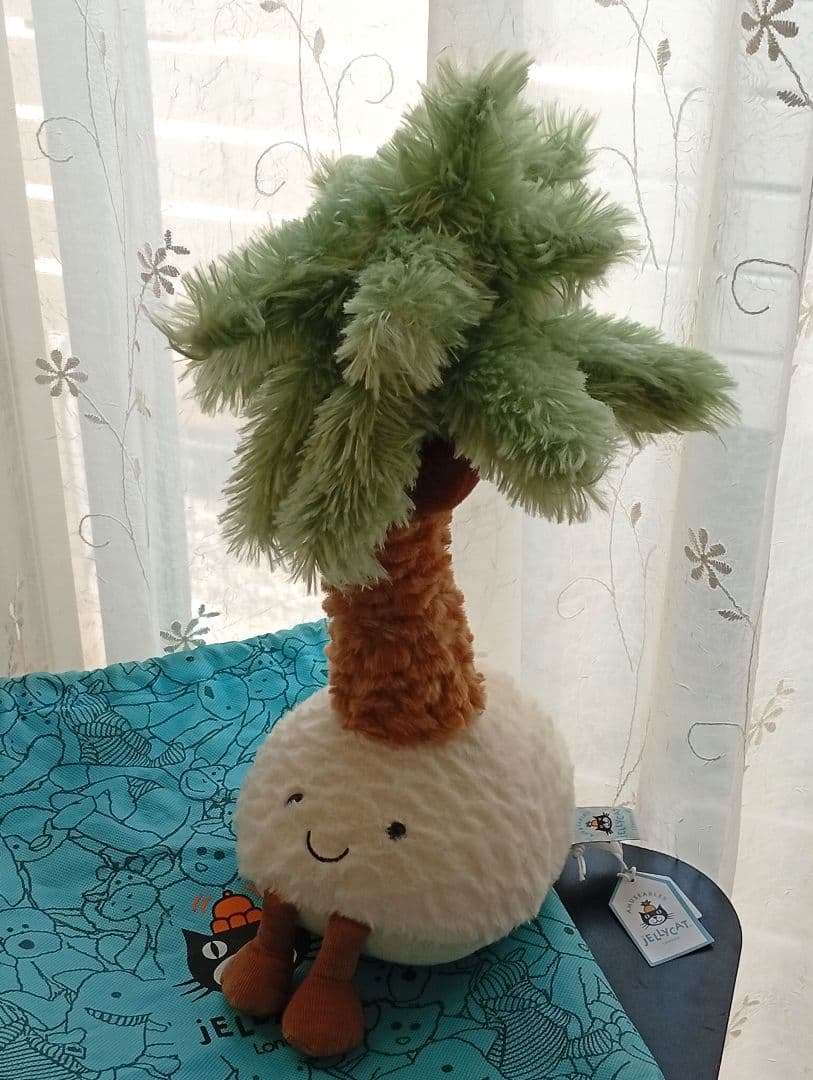  Pammie Palm Treeジェリーキャット植物　ヤシの木