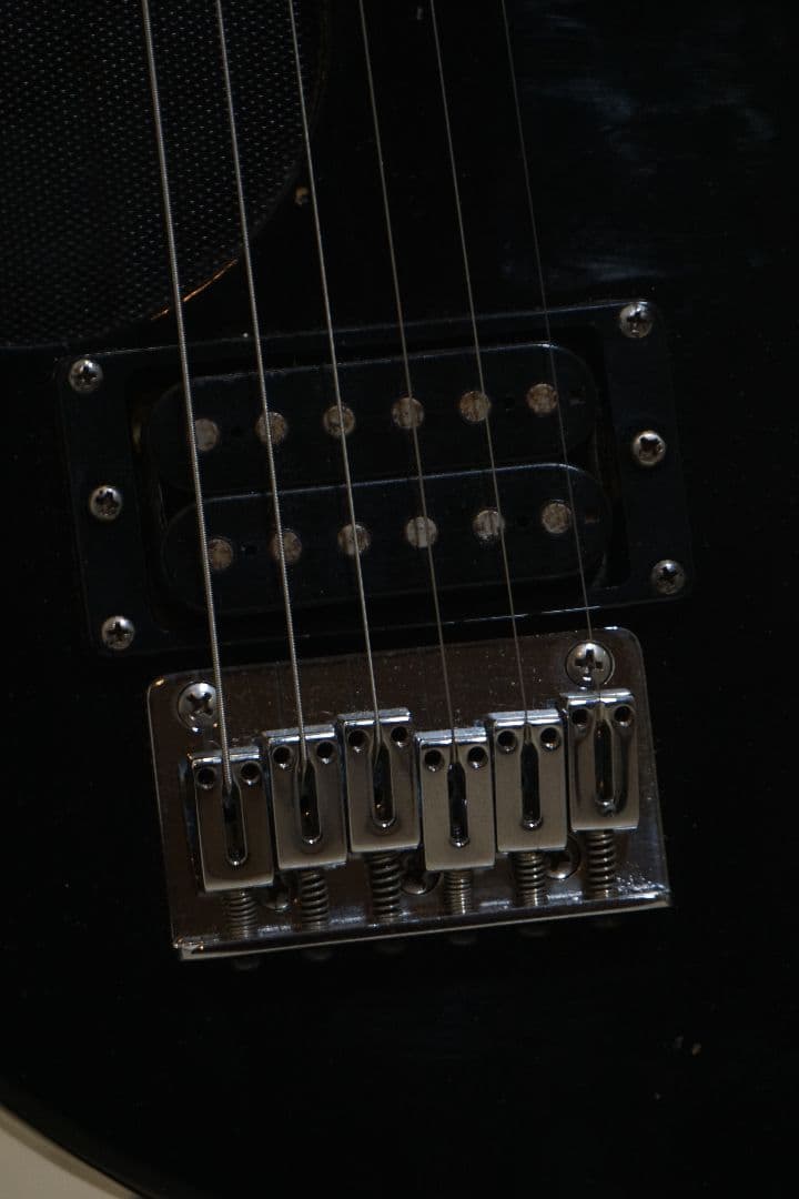 【状態良し】fernandes zo-3　フェルナンデス　ぞーさん　黒　ブラック