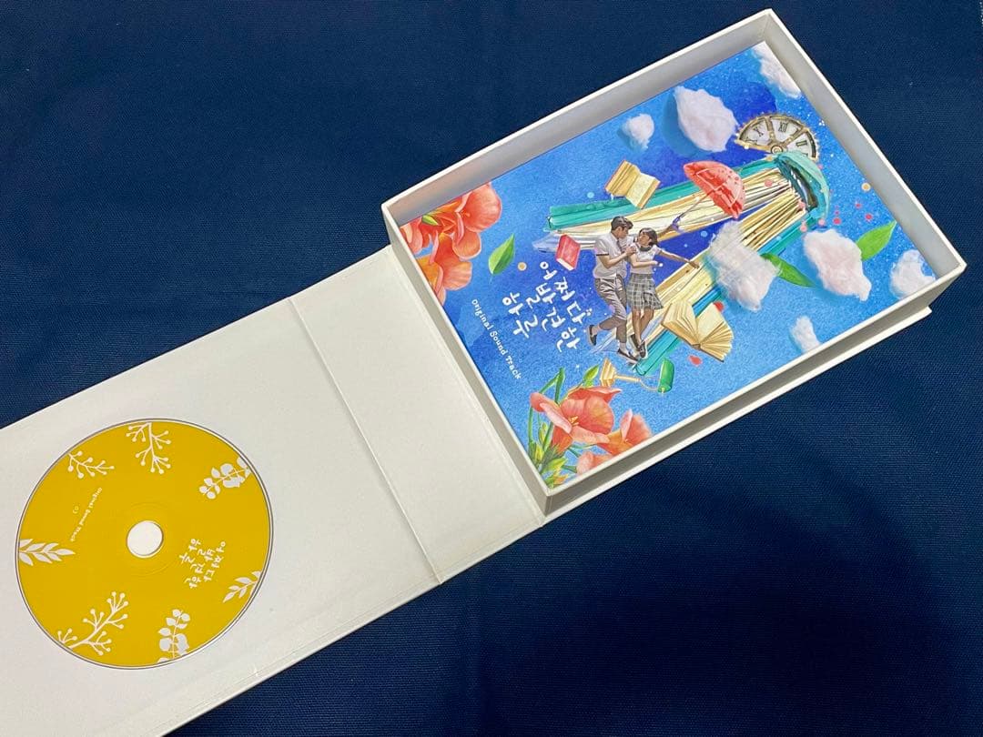 ★韓国ドラマ『偶然見つけたハル』韓国盤OST キムヘユン ロウン イジェウク★