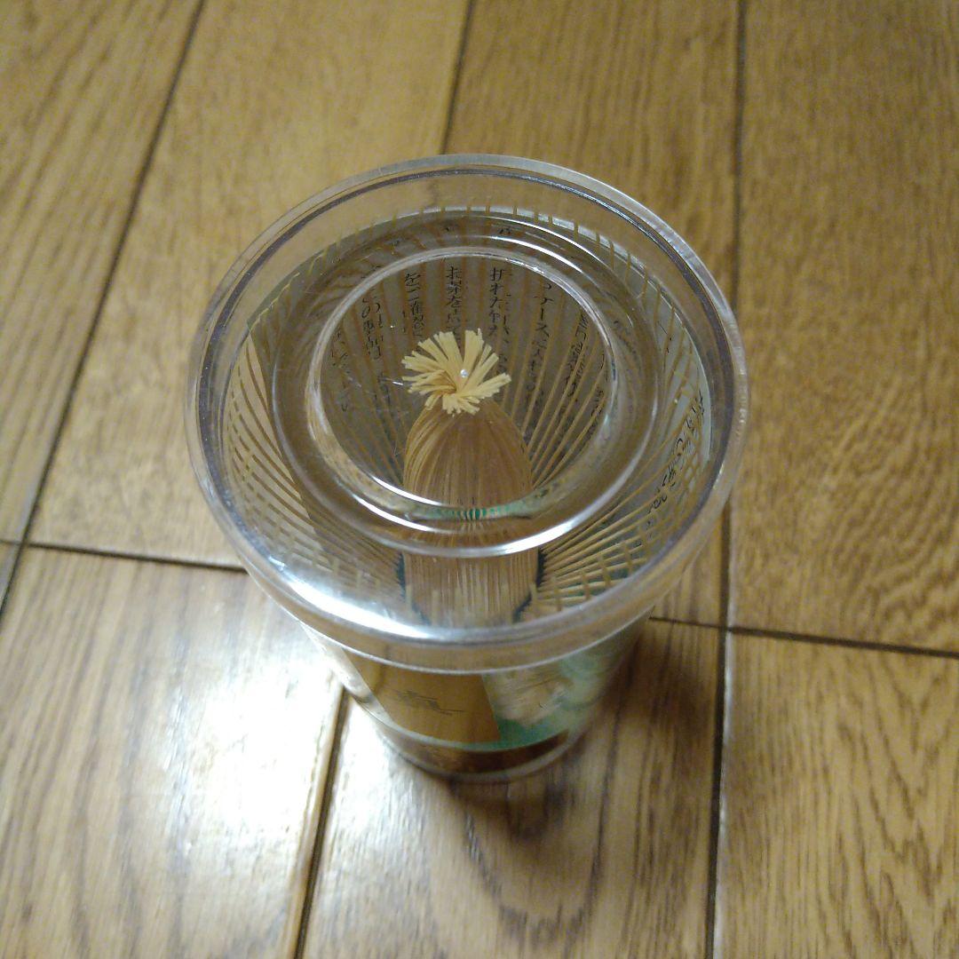 【新品】優竹園 茶筅 3本セット