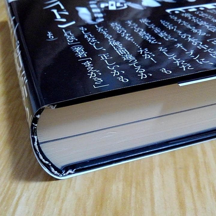 ジョン・ライドン 自伝 怒りはエナジー