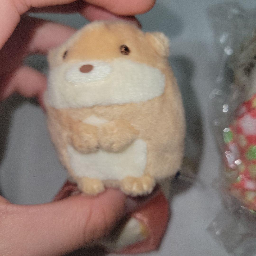 すみっコぐらし てのりぬいぐるみ かわうそ ぺんぎん ねこ とかげ(本物)