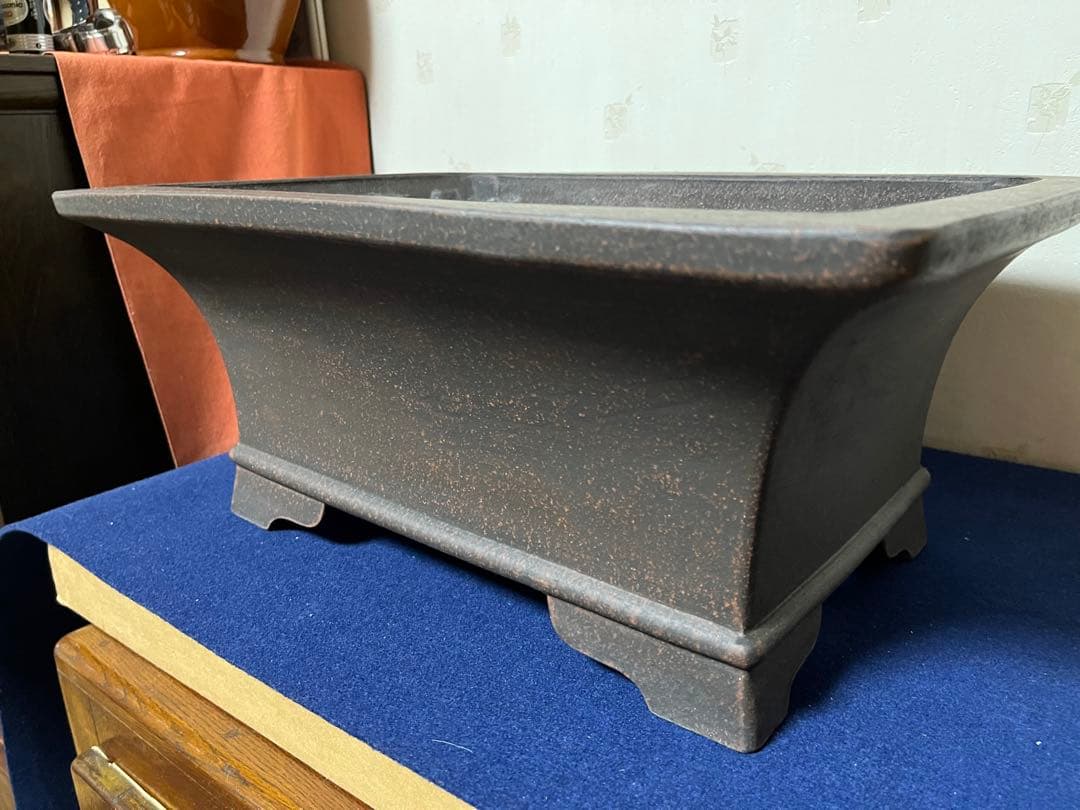 138 盆栽　盆栽鉢　植木鉢　和鉢　銭号