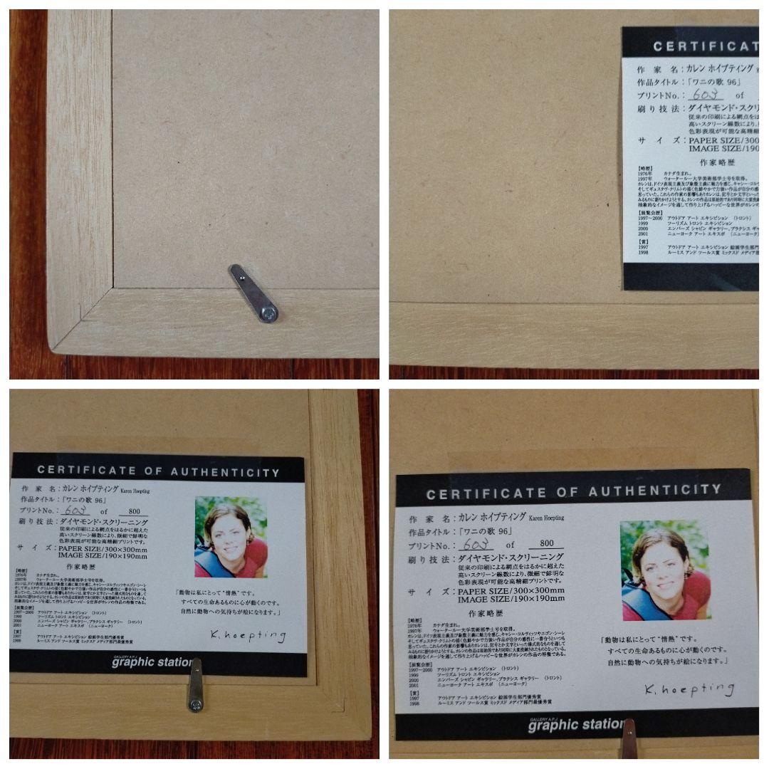 カレン ホイプティング ワニの歌 96 ダイヤモンド ・ スクリーニング 額付き