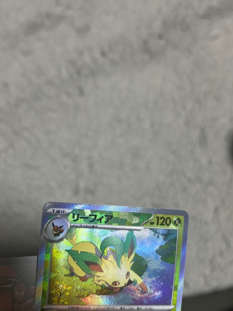 ブイズ　マスボミラー　コンプリート