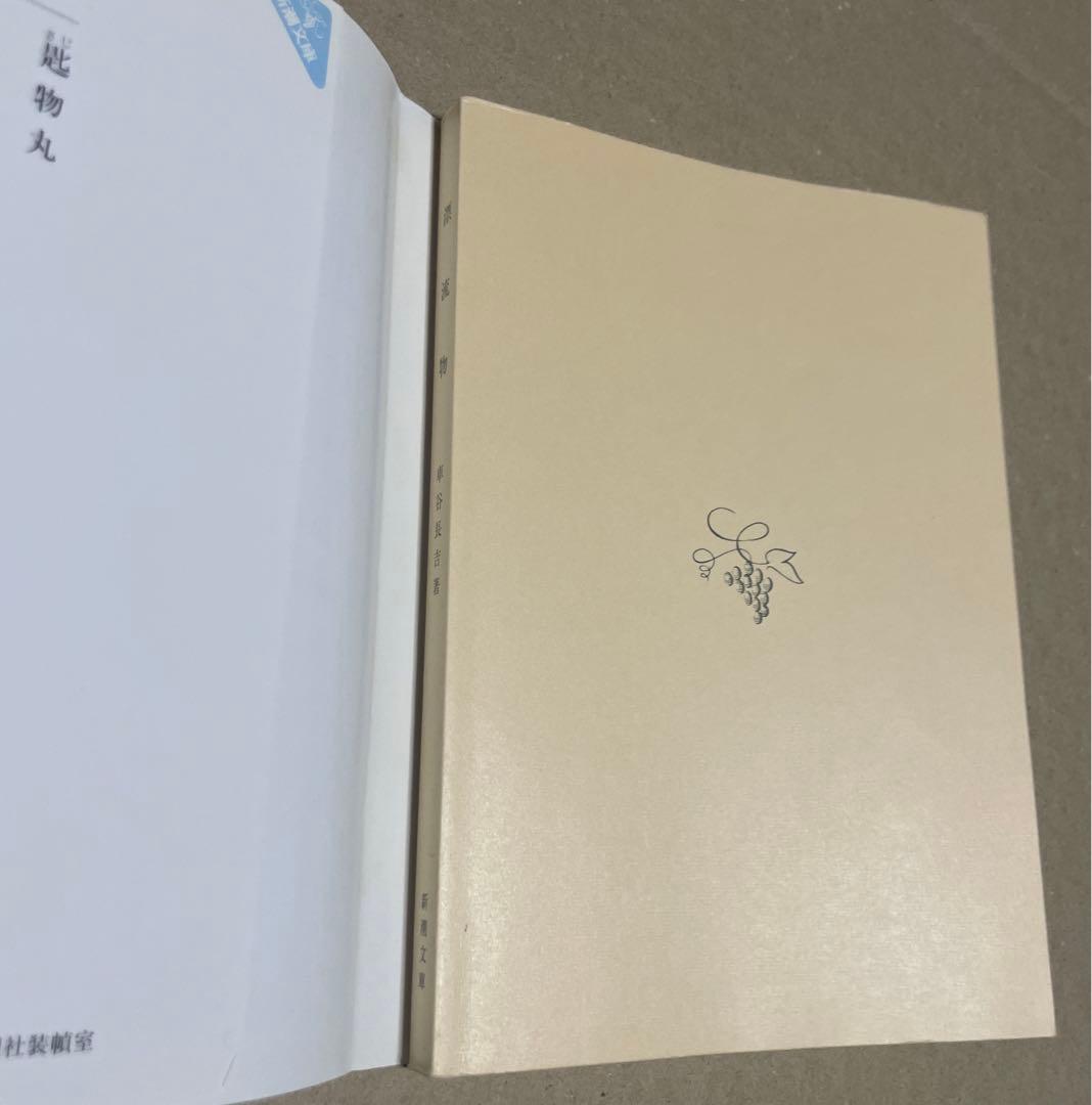 漂流物　◉車谷長吉　※新潮文庫　※平成19年7月20日3刷