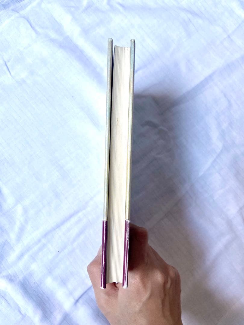 佐川一政　サンテ 希少　帯つき