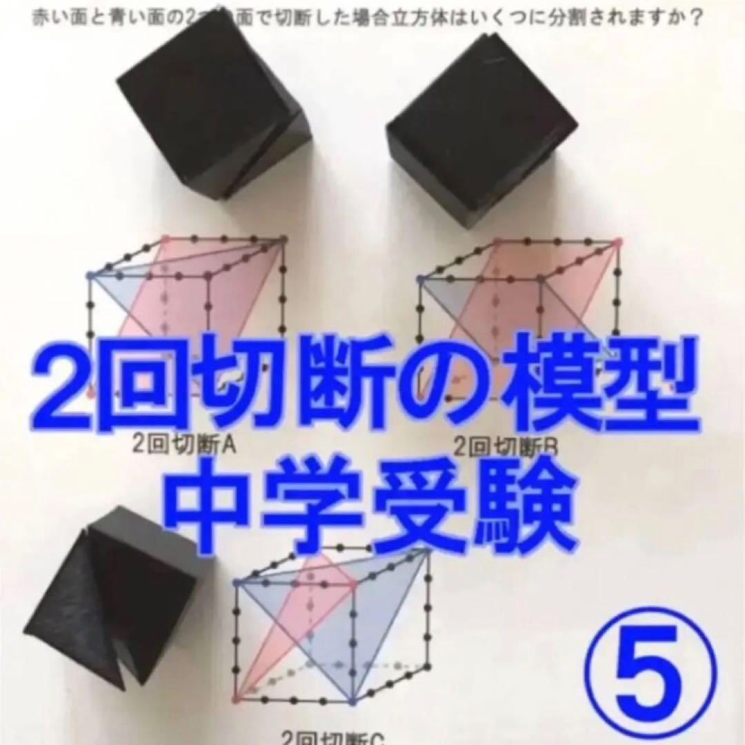 るか　立体の切断模型 ①②③④⑤⑥⑦⑧⑨⑩セット