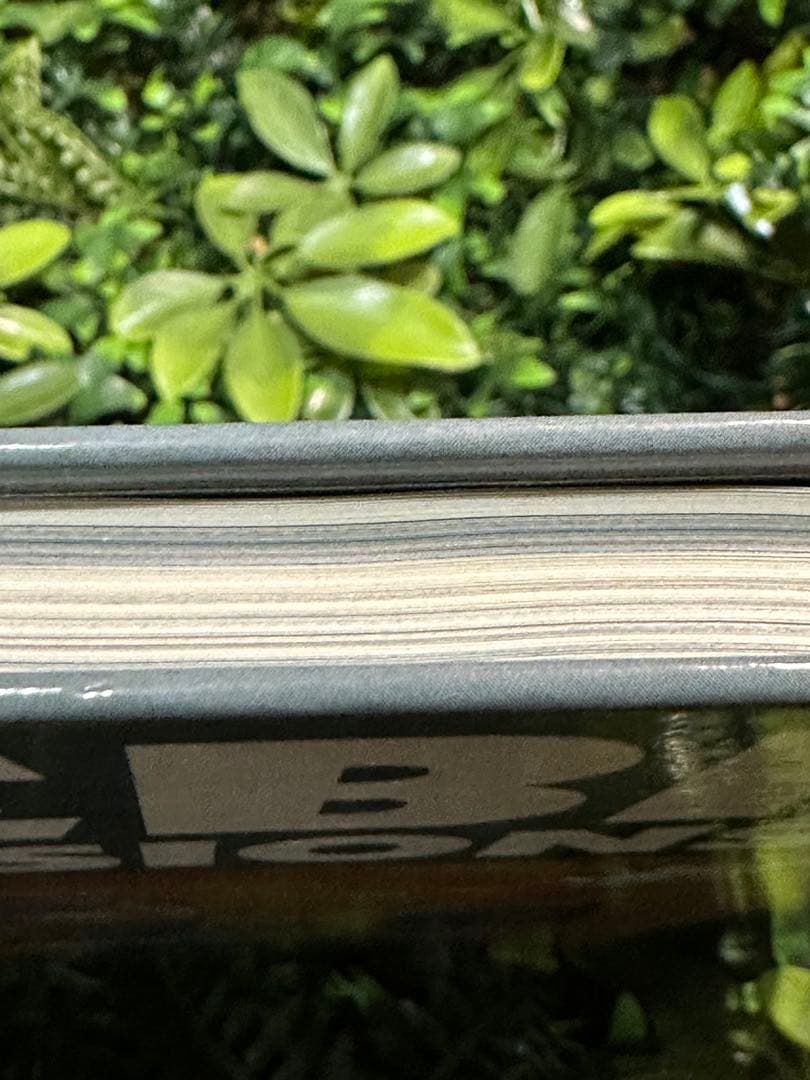 MOEBIUS FUSIONS メビウス 画集 洋書 Casterman