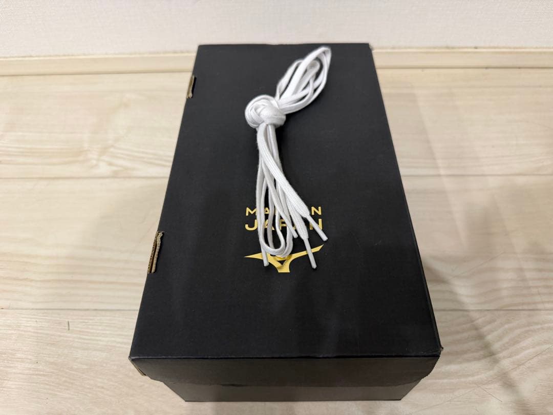 アシックス DSライト Xフライ プロ3 24.5cm