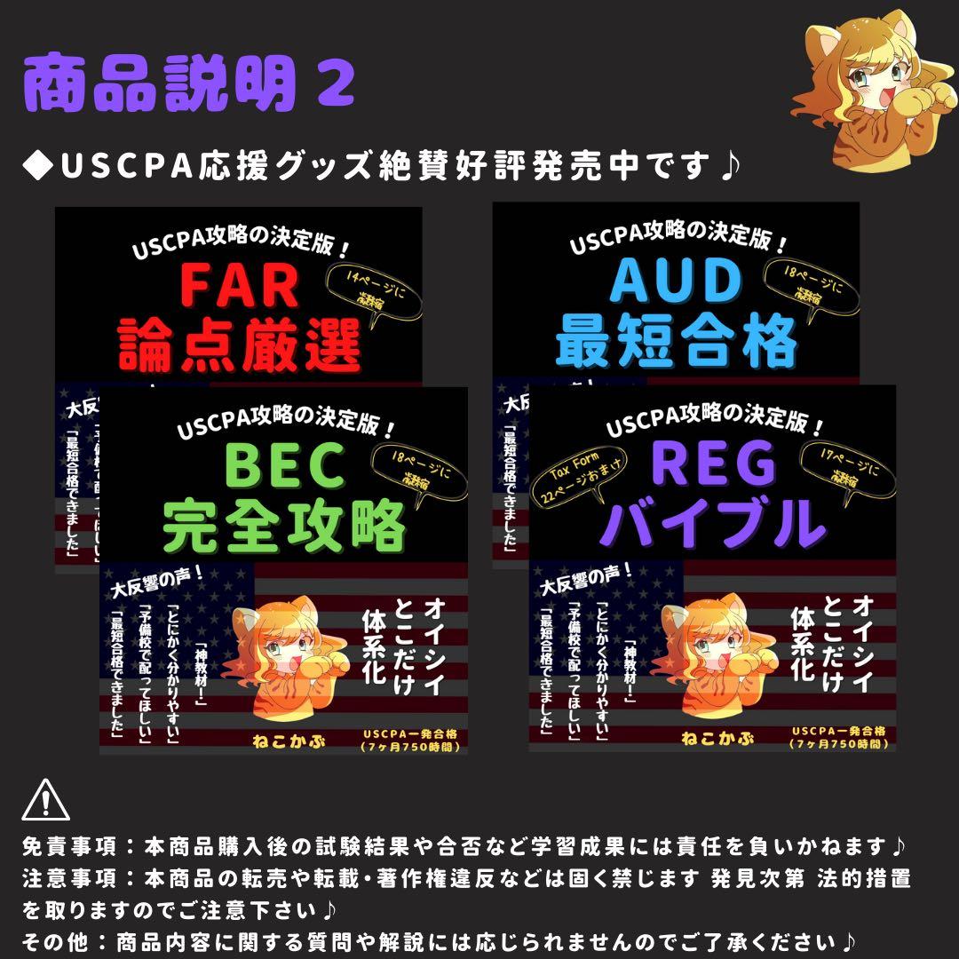 【2024新試験対応】USCPA⭐︎シンREGバイブル25ページ【米国公認会計士】