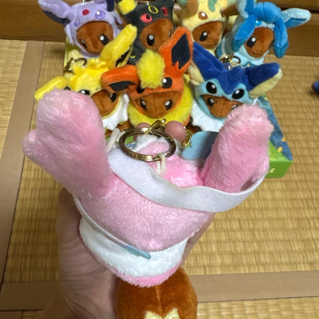 ポンチョを着たイーブイ 全種セット