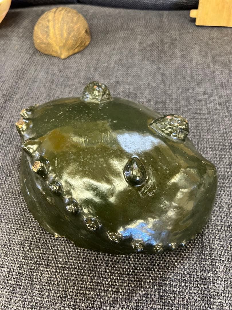 骨董品　天保期 木箱入り 貝殻5点セット 南京貝 男女貝 江戸期