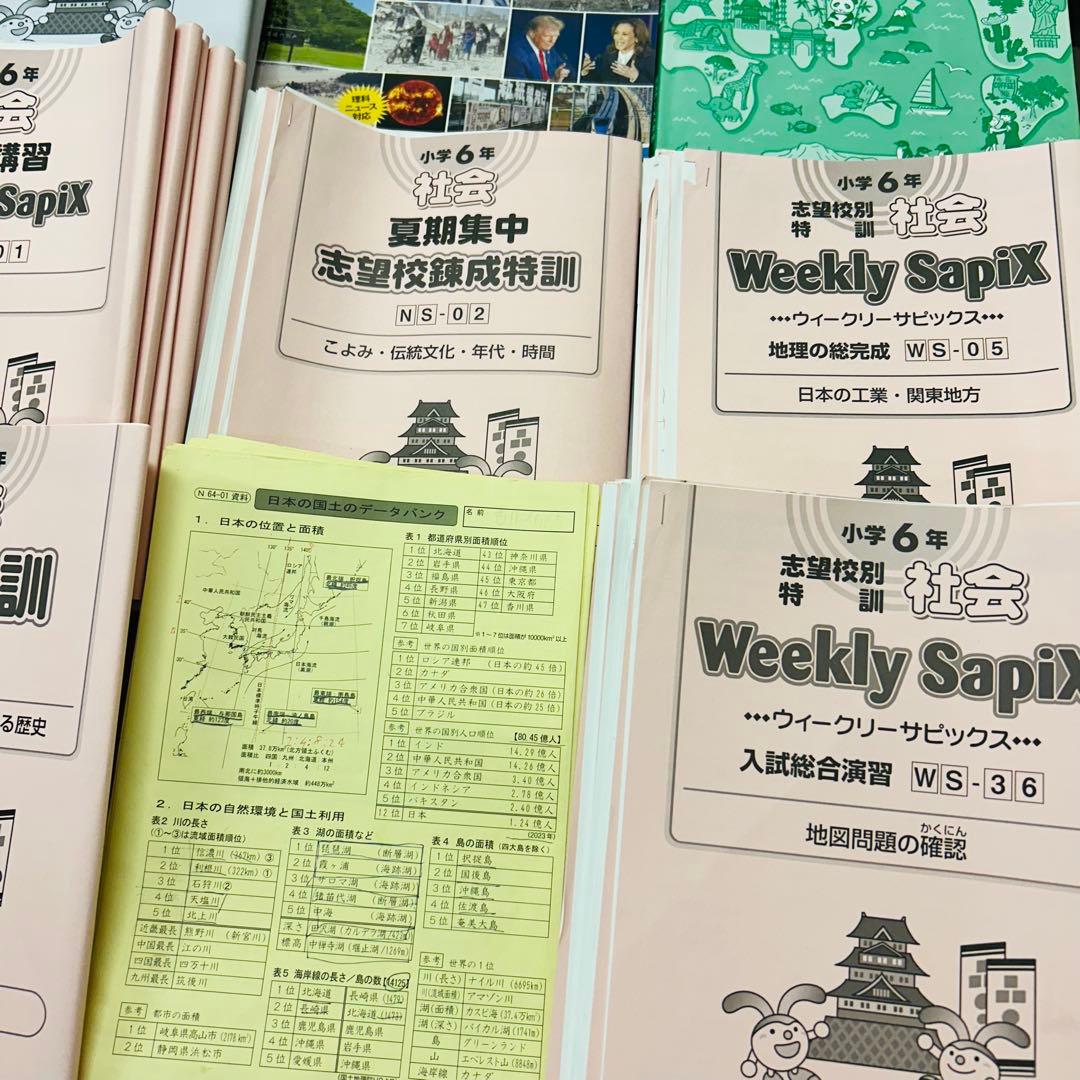 ㉔み　サピックス　SAPIX 社会全般　フルセット　苦手科目克服　重要教材‼️