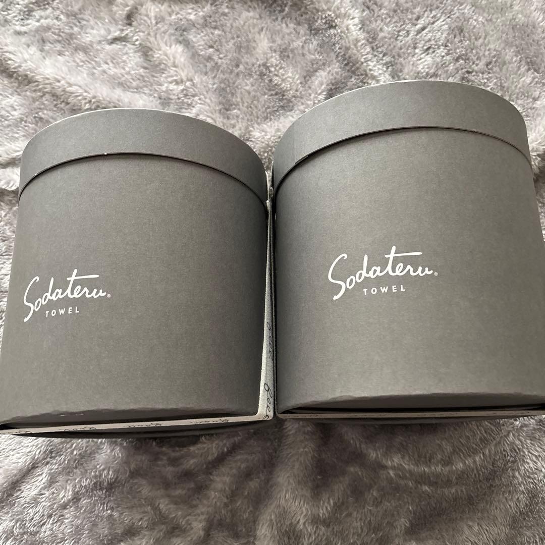 「育てるタオル」の「feel」シリーズ　バスタオル2枚セット 新品未使用