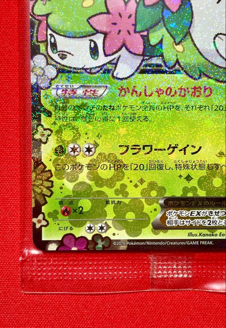 シェイミEX プレミアムポケキュン♥セット プロモ 212/XY-P 未開封