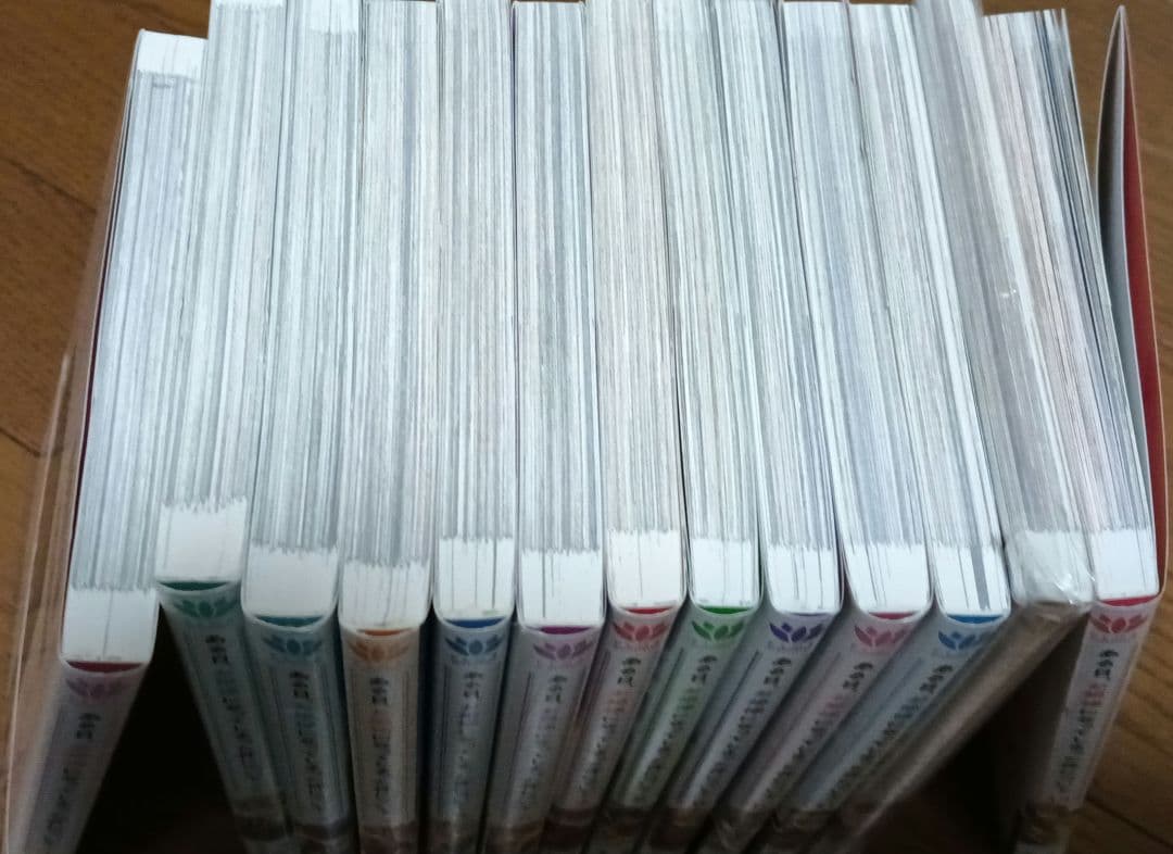 ある日、お姫様になってしまった件について 全13巻