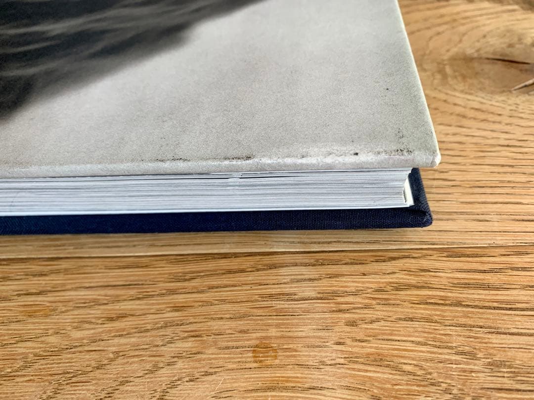 アート・デザイン・音楽 Bruce Weber / GENTLE GIANTS