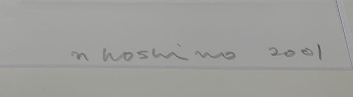 n.hosino 作品