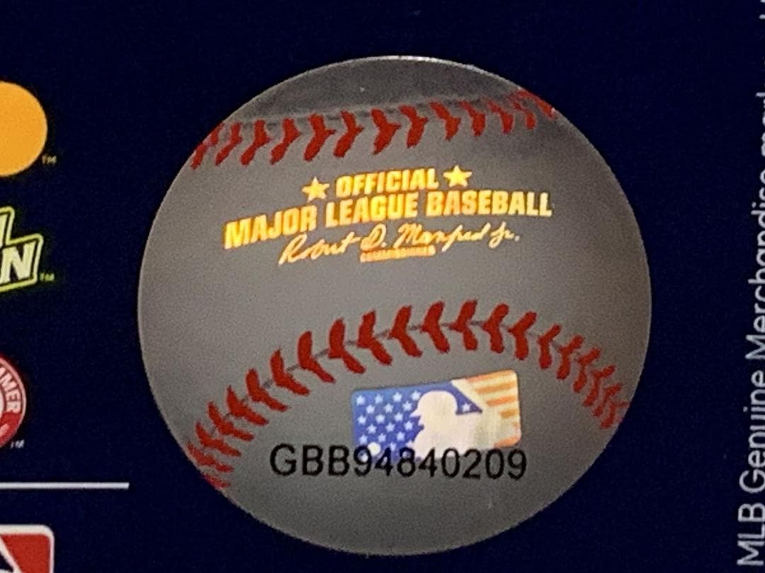 新品 ナイキ エンゼルス リトルリーグクラシック ユニフォーム 大谷 US:XL