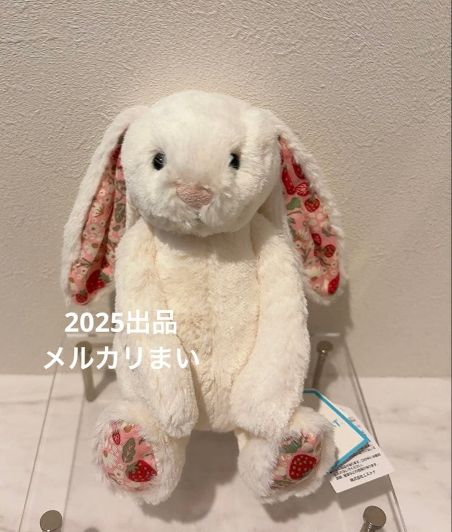  Blossom Cream Bunny 'Berry' （S）