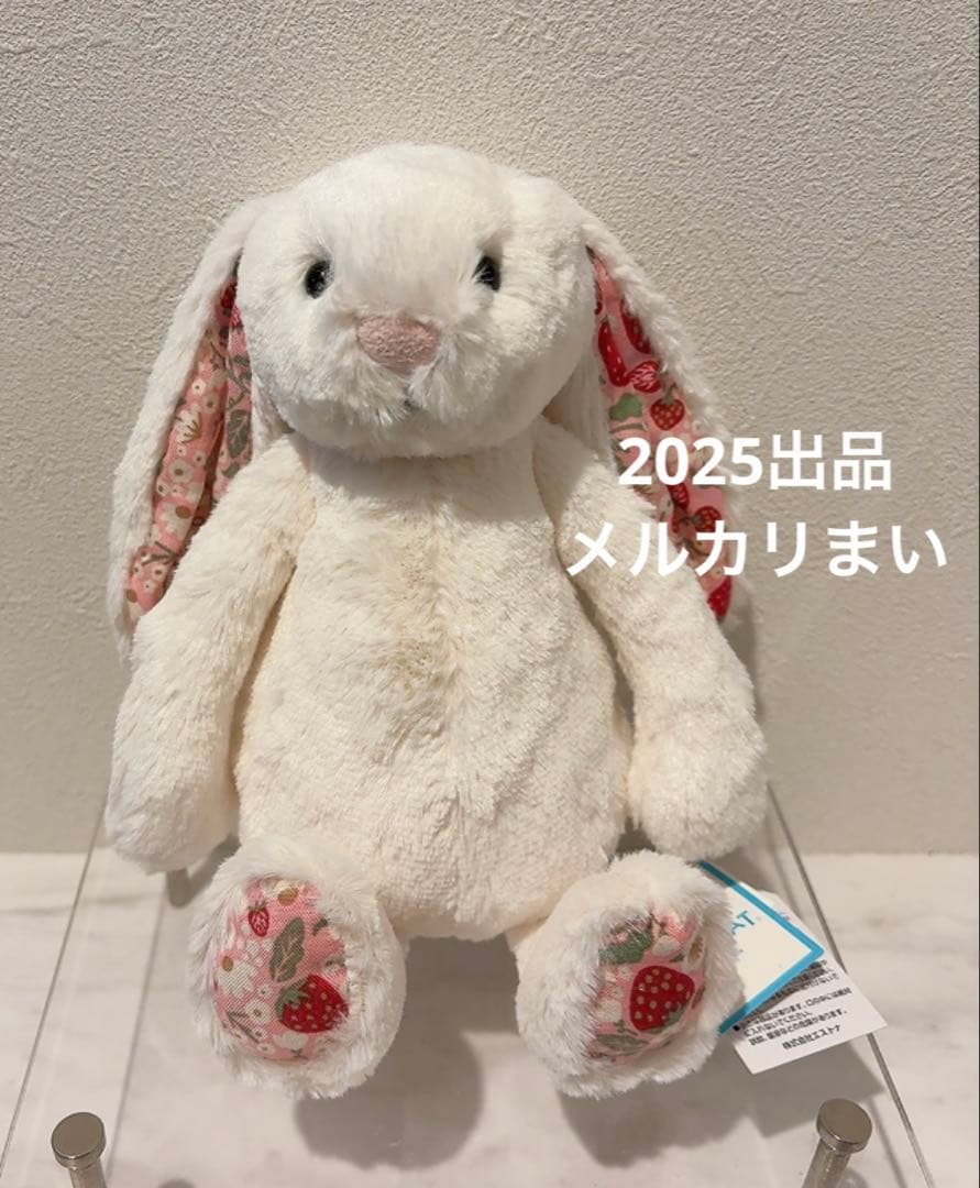  Blossom Cream Bunny 'Berry' （S）