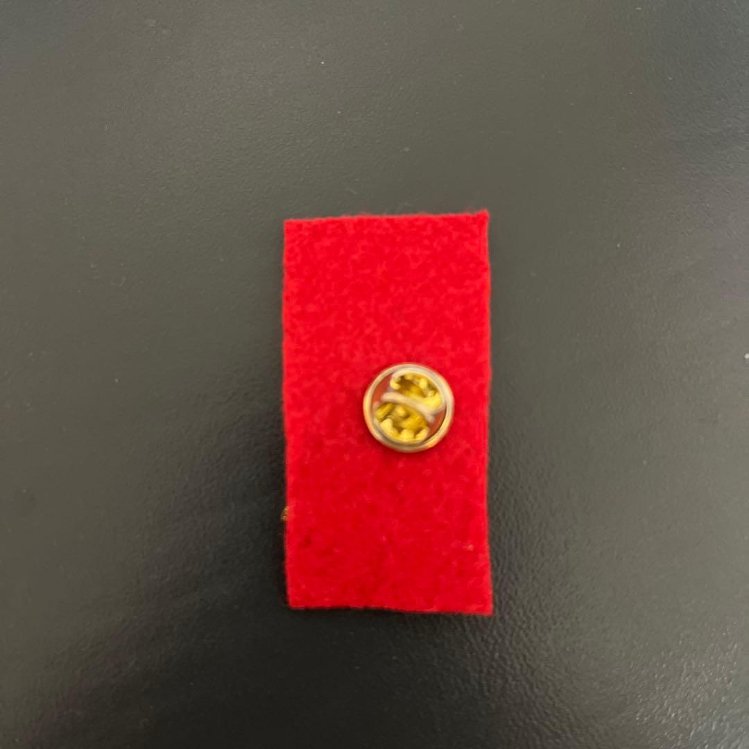 【現状最安値！】大阪・関西万博　イタリアパビリオン　ピンバッジ