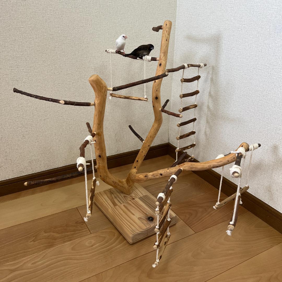 【小鳥用】あちこちブランコ&はしご付♬バードジム