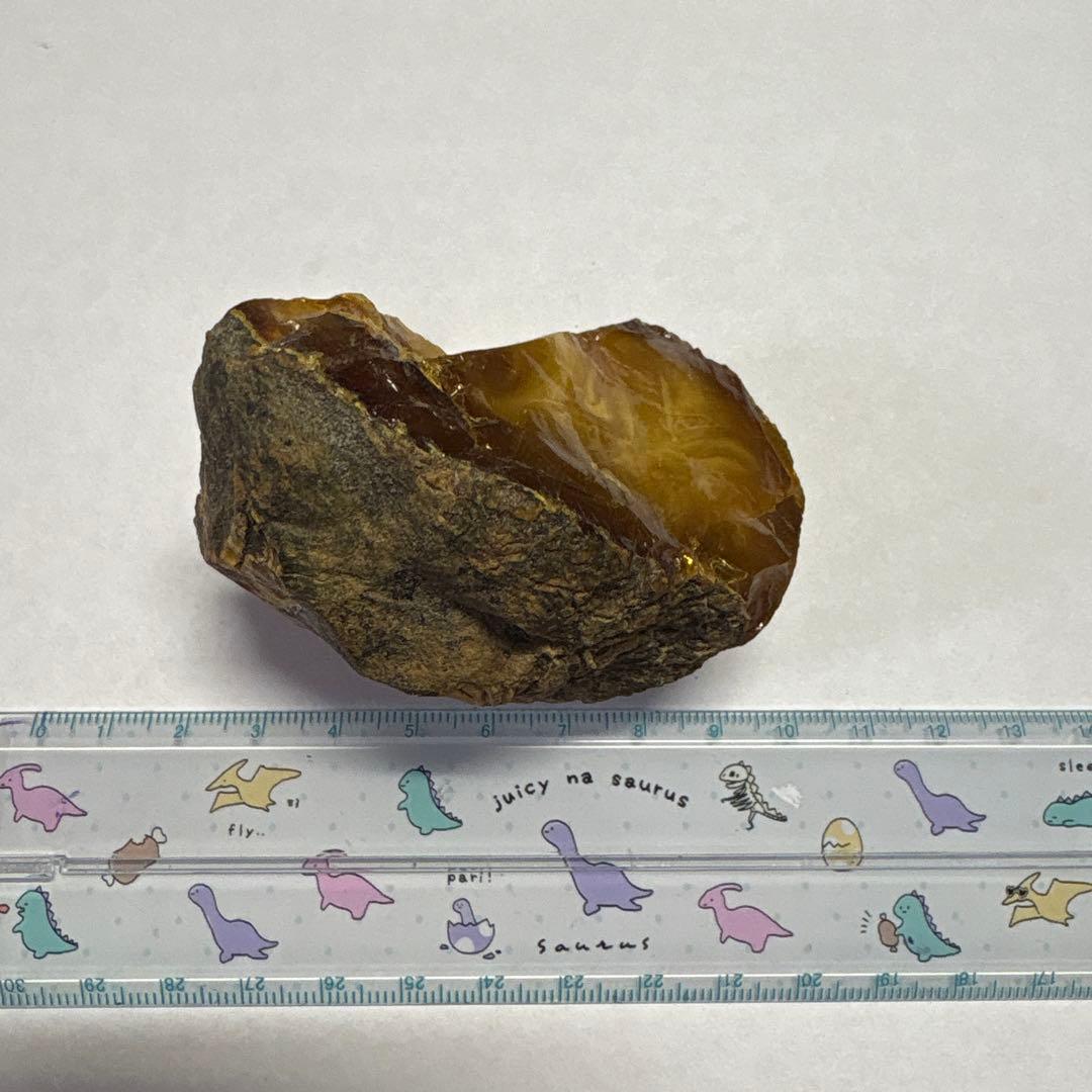 琥珀 アンバー 化石 宝石 原石 岩手県久慈産