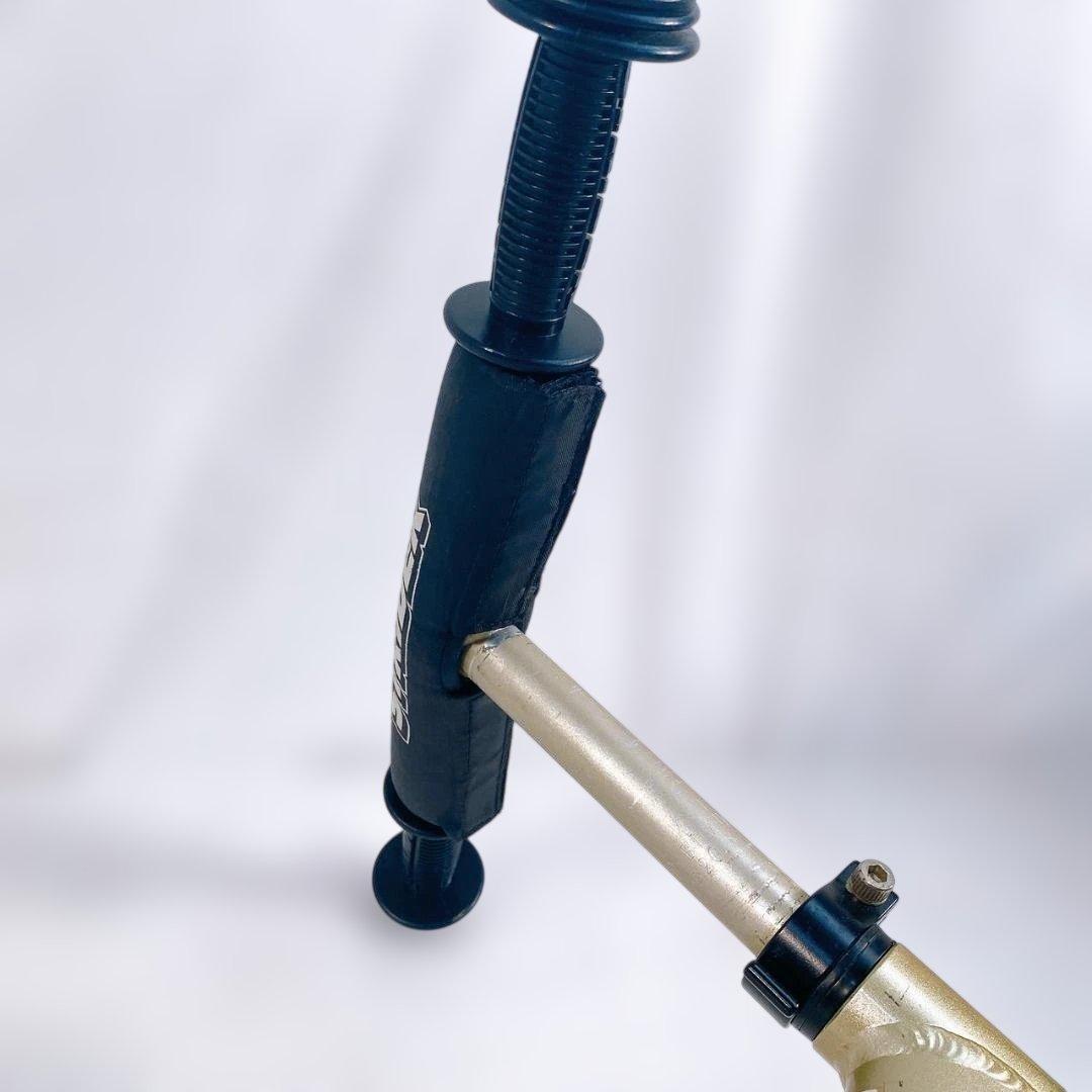 ストライダープロ 10周年記念 限定モデル シャンパンゴールド　スポーツモデル