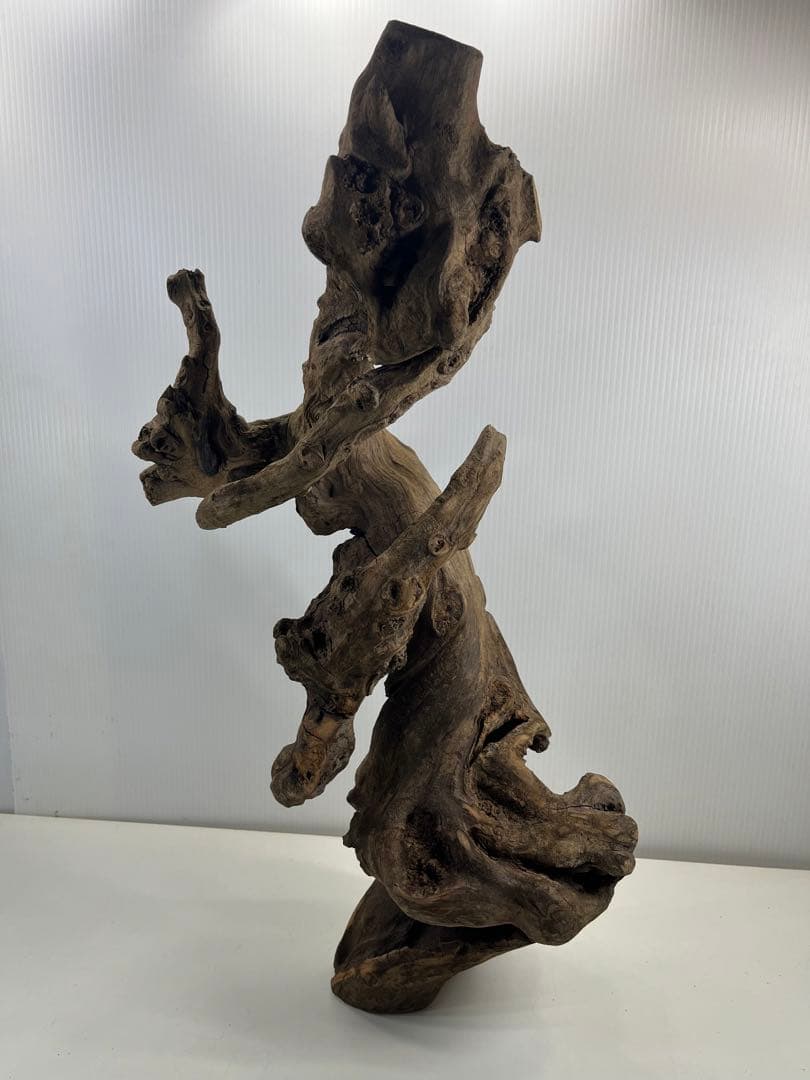 V67アク抜き済み流木 爬虫類シェルター 登り木 インテリア 生け花