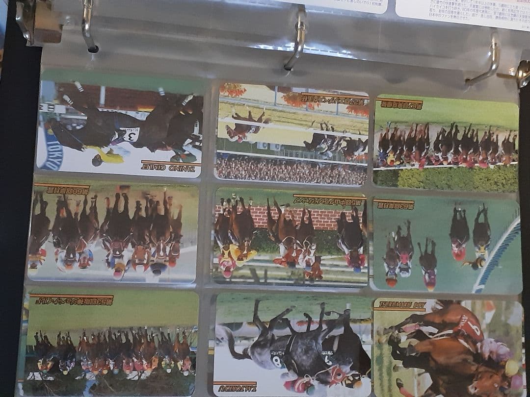 東ハト　競馬カード　テイエムオペラオーのフォルダ　カード200枚以上