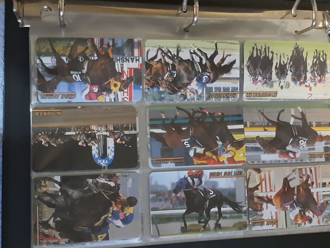 東ハト　競馬カード　テイエムオペラオーのフォルダ　カード200枚以上