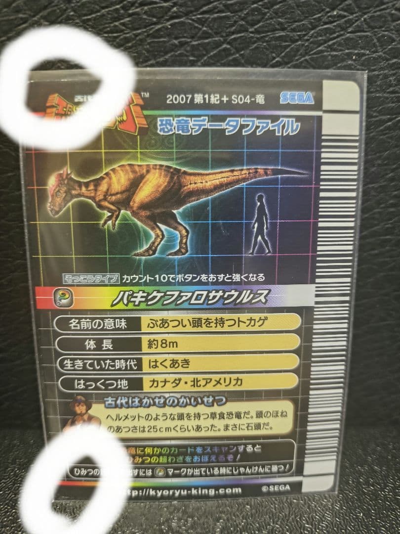 恐竜キング シークレット　パキケファロサウルス