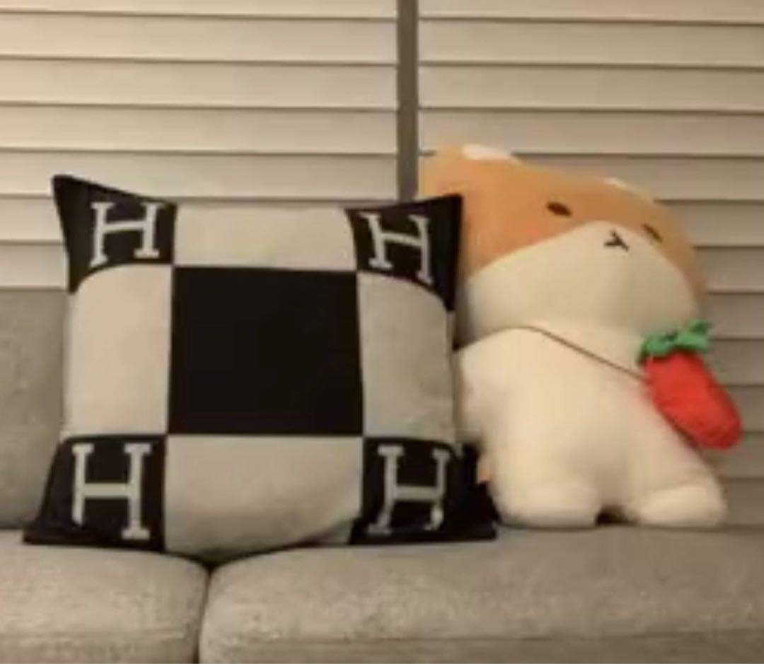 大王 トレギ exo ベッキョン　ぬいぐるみ