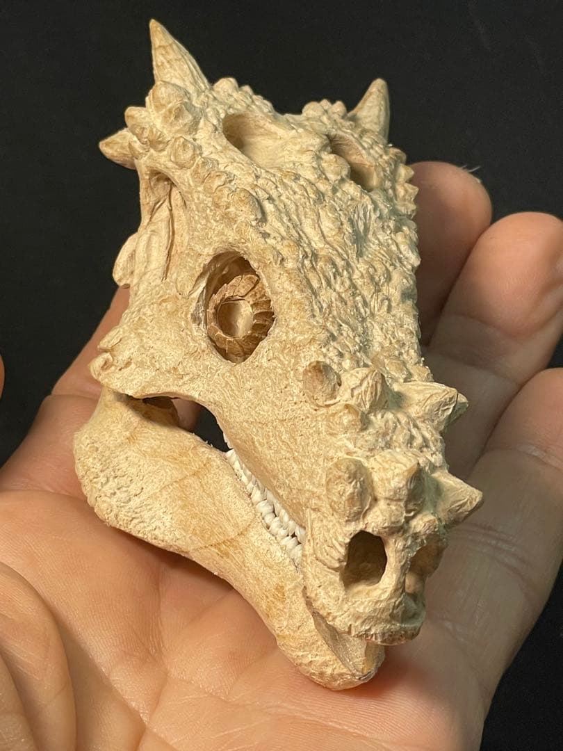 木彫　恐竜　ドラコレックス　頭骨模型