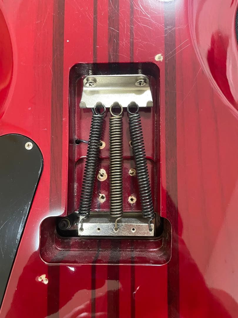 Kn様　EdwardsE-FR-130GTフォレスト ダンカンPU